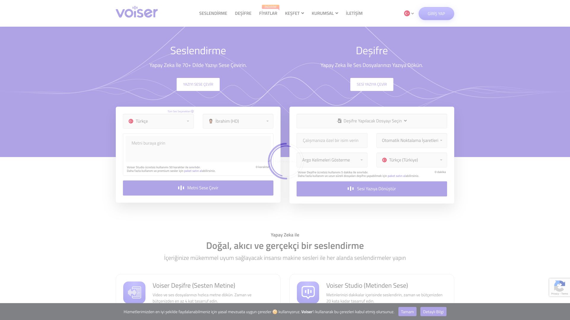 Voiser screenshot