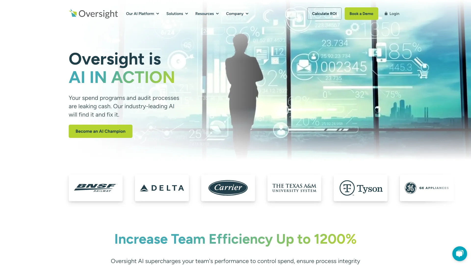 Oversight screenshot