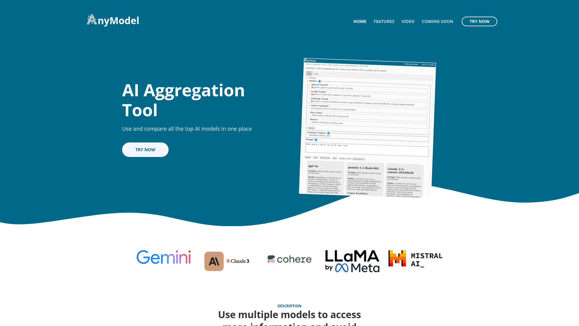 AnyModel screenshot