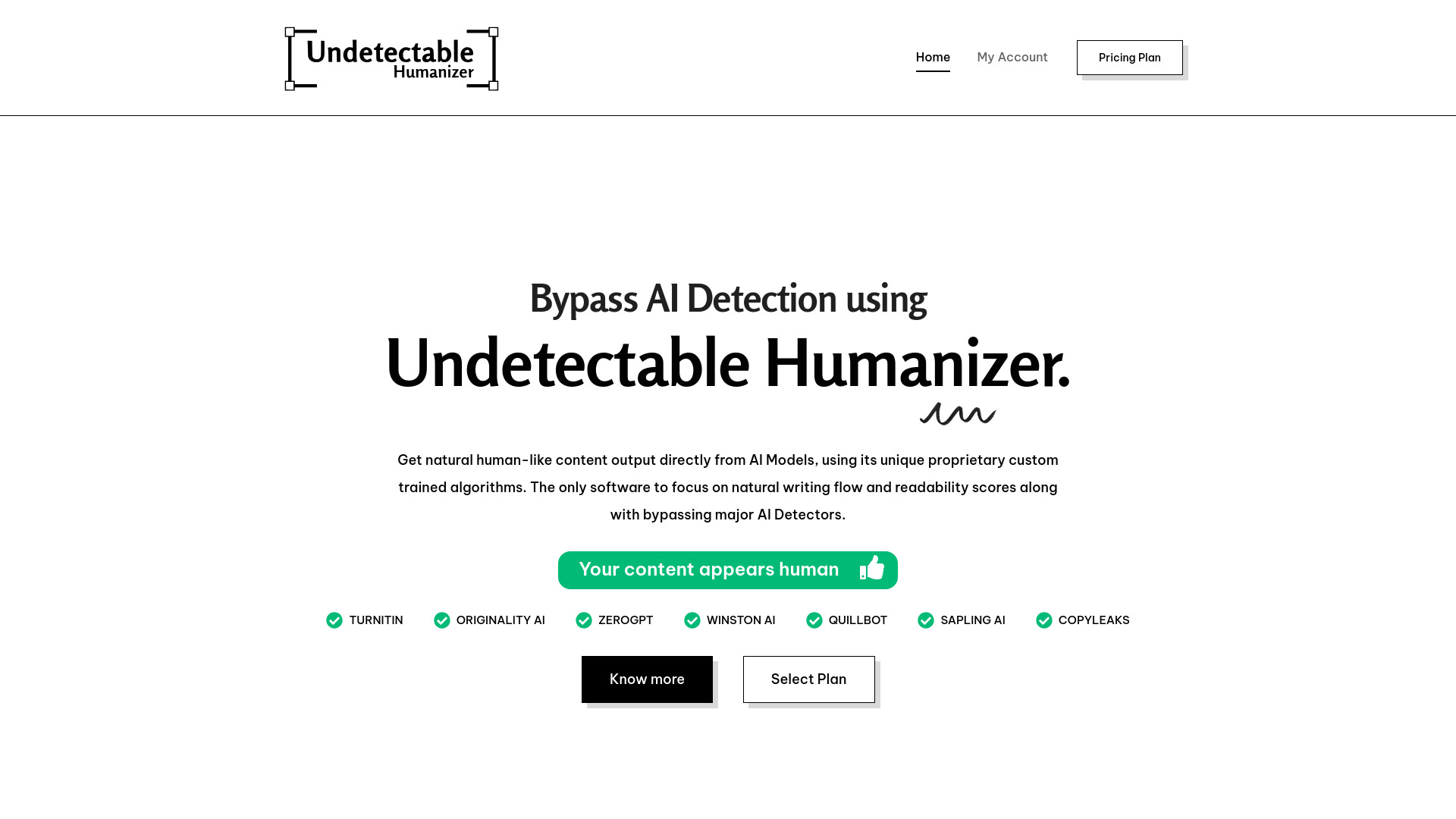 Undetectable Humanizer screenshot