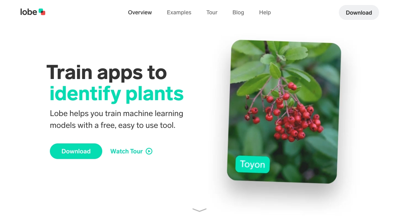 GitHub screenshot