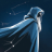Cosmica AI Astrology & Tarot logo